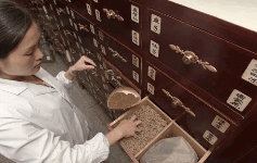 Global leaders discuss most pressing questions around AI in health care and traditional medicine at UN Summit