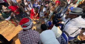 South Africa celebrates African Traditional Medicine Day with national commemoration